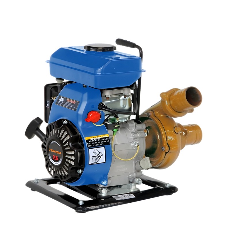 2 inch gasoline engine cast iron pump